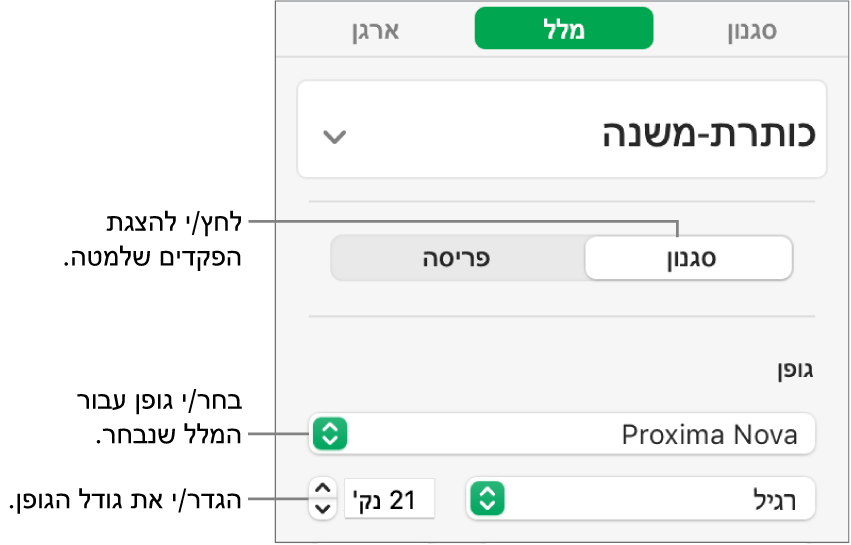 כלי בקרה של מלל במקטע ״סגנון״ של סרגל הצד ״עיצוב״ להגדרת גופן וגודל גופן.