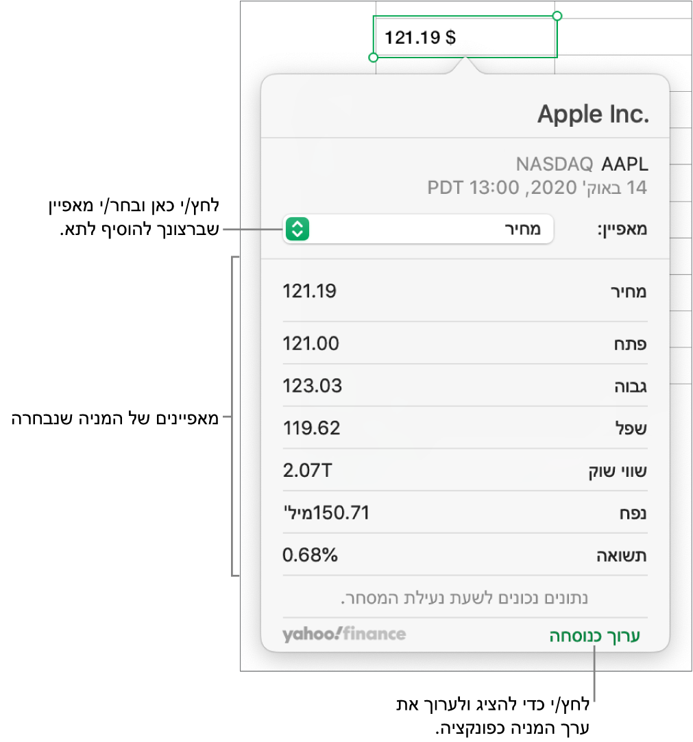 תיבת הדו-שיח להזנת פרטי מאפיינים של מניות, עם Apple כמניה הנבחרת.