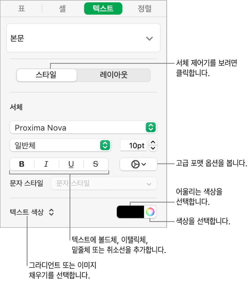 표 텍스트의 스타일을 지정하는 제어기.