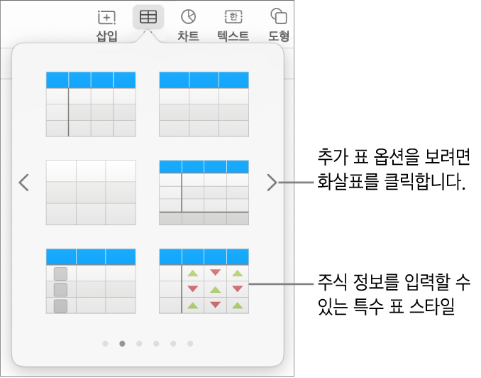 오른쪽 하단에 주식 정보 입력용 특수 스타일을 포함한 표 스타일의 축소판을 표시하는 표 메뉴 쓸어넘겨 스타일을 추가로 볼 수 있음을 표시하는 여섯 개의 점