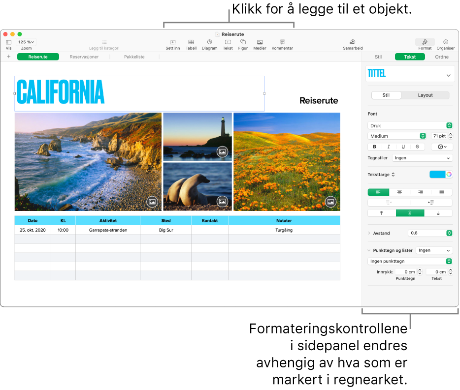 Numbers-vinduet, med Tekst-fanen åpen i Format-sidepanelet.