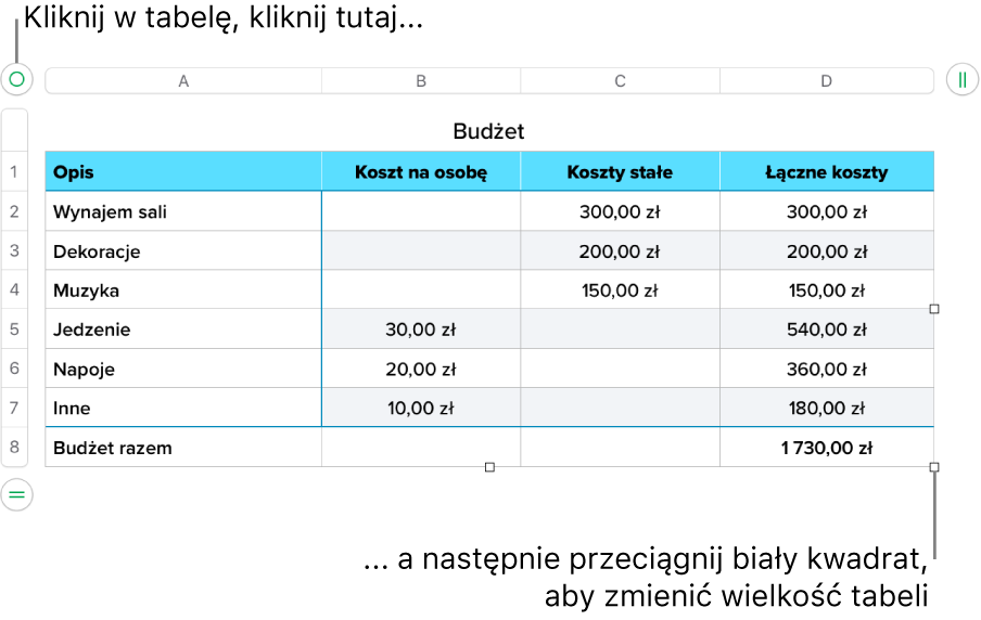 Zaznaczona tabela z białymi kwadratami pozwalającymi na zmienianie jej wielkości.