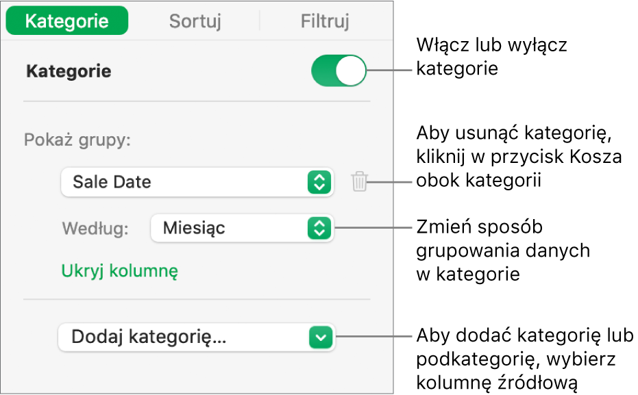 Pasek boczny kategorii z opcjami wyłączania lub usuwania kategorii, przegrupowywania danych, ukrywania kolumny źródłowej oraz dodawania kategorii.