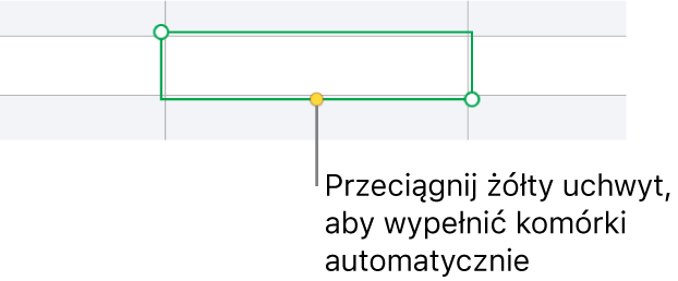 Zaznaczona komórka z żółtym uchwytem, który można przeciągnąć, aby automatycznie wypełnić komórki.