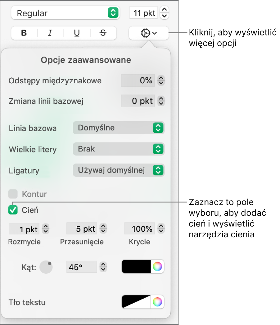 Otwarte menu opcji zaawansowanych, zawierające zaznaczone pole wyboru Cień oraz narzędzia ustawiania rozmycia, przesunięcia, krycia, kąta i koloru.