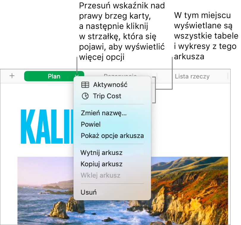 Karta arkusza kalkulacyjnego z otworzonym menu podręcznym, zawierającym listę poleceń, w tym polecenie Powiel.