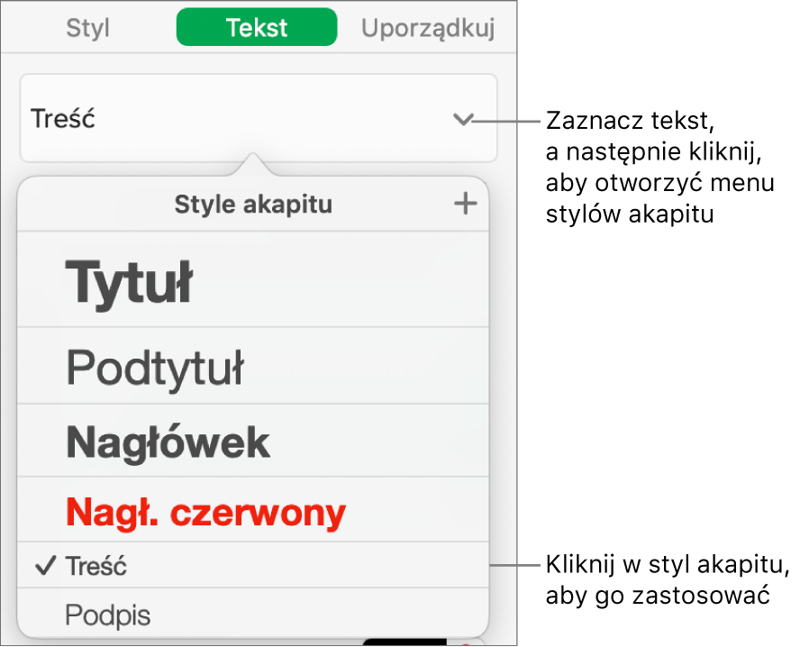 Menu Style akapitu z ikoną zaznaczenia obok zaznaczonego stylu.