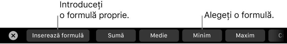 Bara Touch Bar de pe MacBook Pro cu comenzi pentru inserarea unei formule proprii și alegerea unei formule utilizate în mod obișnuit.