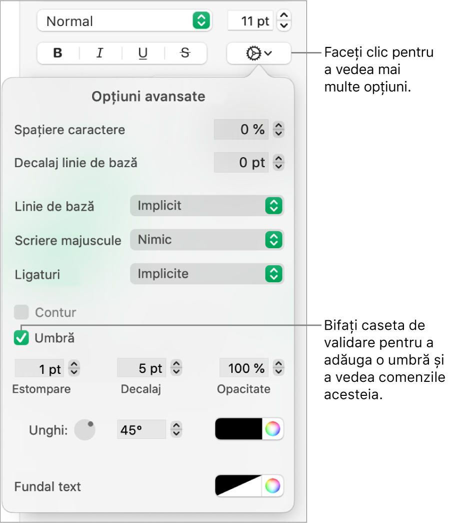 Meniul Opțiuni avansate deschis, cu caseta de validare Umbre selectată și comenzile pentru configurarea estompării, decalajului, opacității, unghiului și culorii.