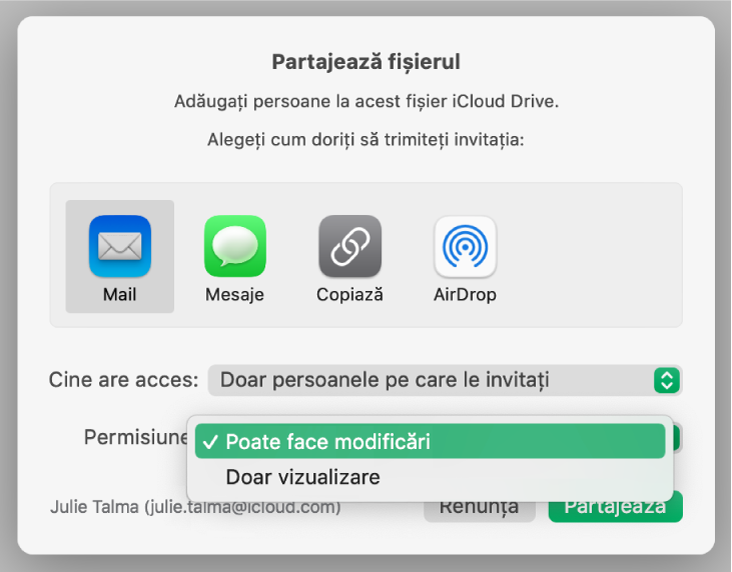 Secțiunea Opțiuni de partajare a dialogului de colaborare cu meniul pop-up Permisiuni și „Poate face modificări” selectat.