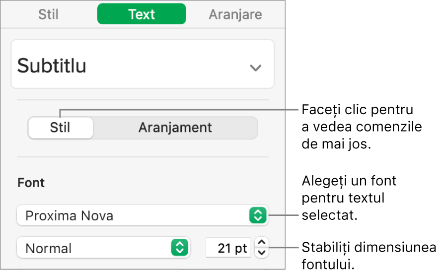 Comenzi de text din secțiunea Stil a barei laterale Format pentru configurarea fontului și a dimensiunii fontului.