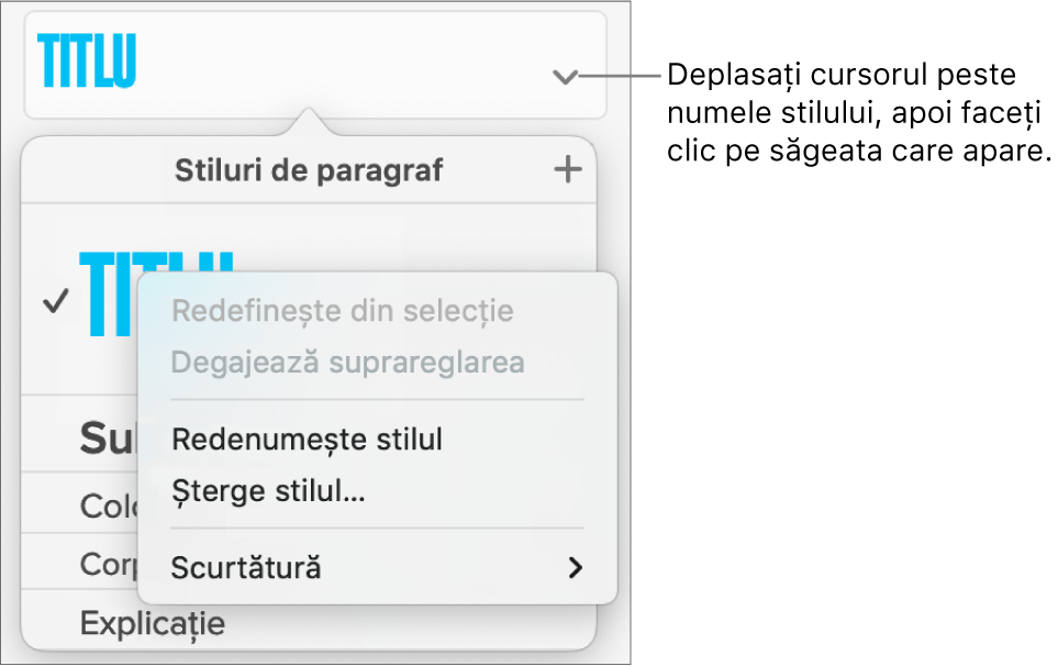 Meniul Stiluri de paragraf cu meniul de scurtături deschis.