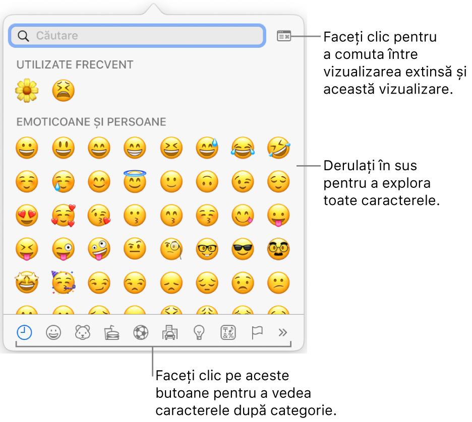 Fereastra pop-up Caractere speciale afișând emoticoane, butoane pentru diferite tipuri de simboluri în partea de jos și o explicație pentru un buton care afișează fereastra completă Caractere.