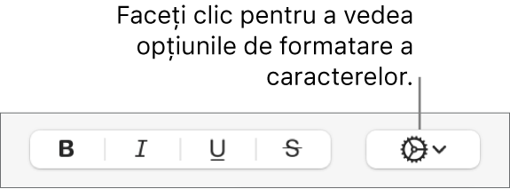 Butonul Opțiuni avansate de lângă butoanele Aldin, Cursiv, Subliniat și Tăiat cu o linie.