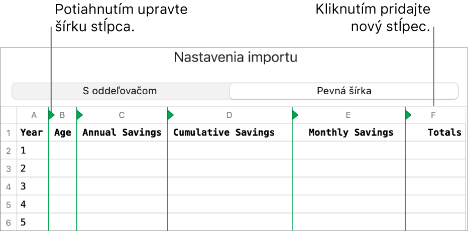 Nastavenia importu pre textový súbor s fixnou šírkou.