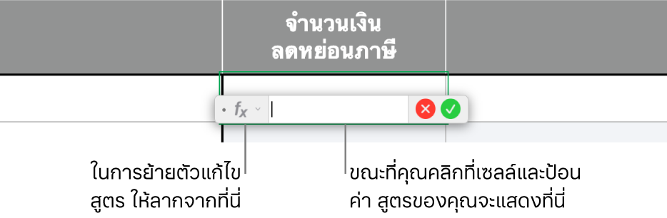 ตัวแก้ไขสูตร