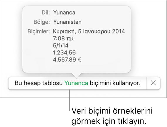 O dil ve bölgede kullanılan biçimlendirme örneklerini gösteren, farklı dil ve bölge ayarı bildirimi.