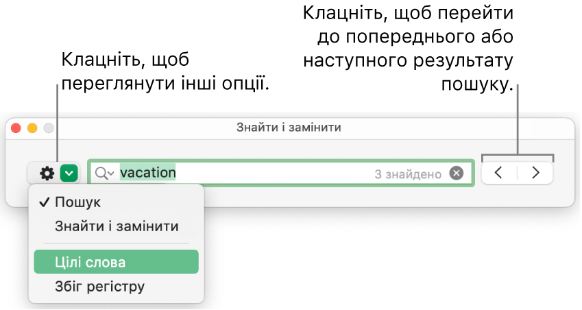 Вікно «Пошук і заміна» з виносками на кнопки параметрів «Пошук», «Пошук і заміна», «Цілі слова» або «Збіг регістру». Стрілки праворуч дають змогу перейти до попереднього або наступного результату пошуку.