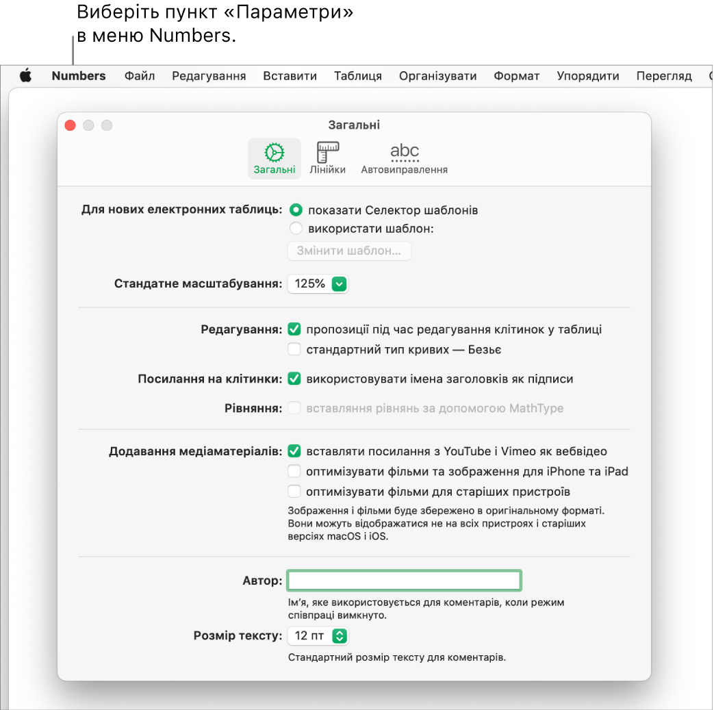 Діалогове вікно параметрів програми Numbers із панеллю параметрів «Загальні».