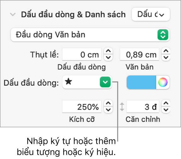 Phần Dấu đầu dòng & Danh sách của thanh bên Định dạng. Trường Đầu dòng hiển thị một biểu tượng ngôi sao.