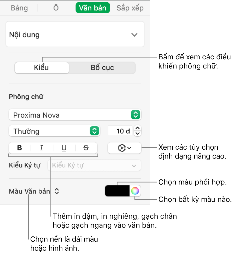 Các điều khiển để tạo kiểu văn bản của bảng.