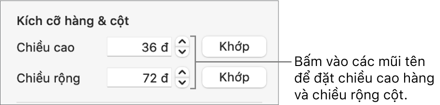 Các điều khiển đặt kích cỡ hàng hoặc cột chính xác.