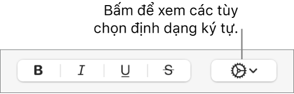 Nút Tùy chọn nâng cao bên cạnh các nút Đậm, Nghiêng, Gạch chân và Gạch ngang.