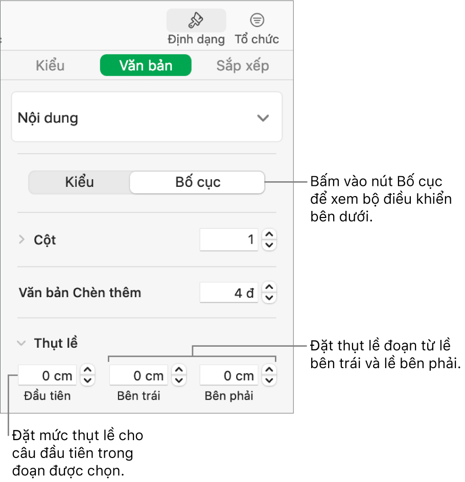 Phần Bố cục của thanh bên Định dạng hiển thị các điều khiển để đặt thụt lề dòng đầu tiên và lề đoạn.