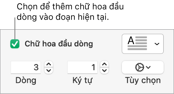 Hộp kiểm Chữ hoa đầu dòng được chọn và menu bật lên xuất hiện ở bên phải; các điều khiển để đặt chiều cao đường, số lượng ký tự và các tùy chọn khác xuất hiện bên dưới.