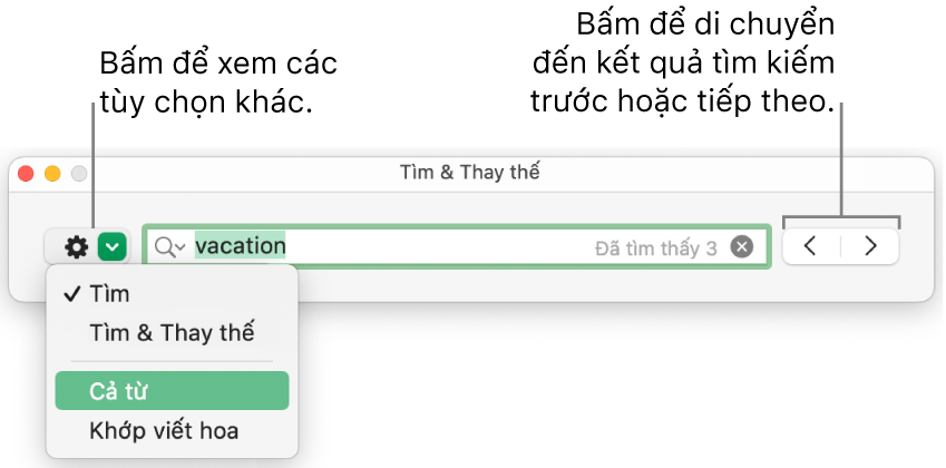 Cửa sổ Tìm & Thay thế với các lời nhắc đến nút để hiển thị các tùy chọn cho Tìm, Tìm & Thay thế, Cả từ và Khớp viết hoa. Các mũi tên ở bên phải cho phép bạn chuyển đến kết quả tìm kiếm trước đó hoặc tiếp theo.