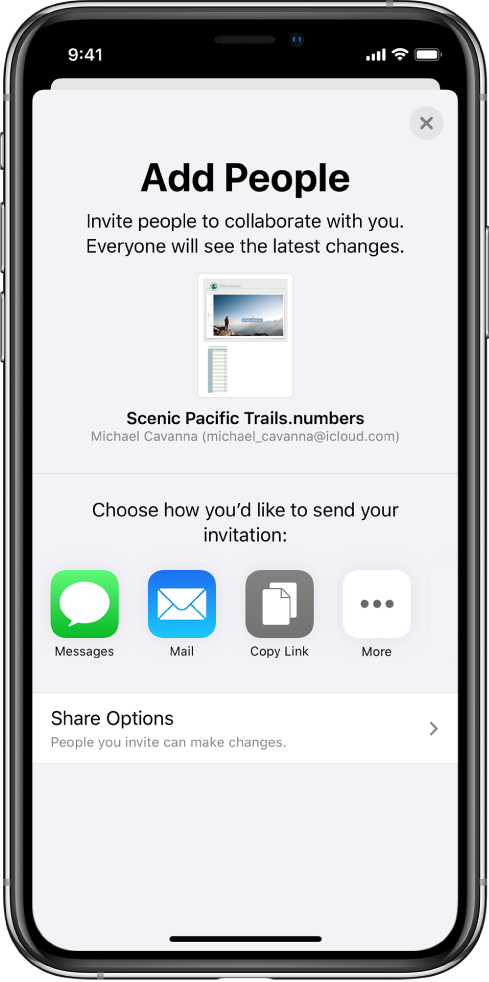 The Add People screen showing a picture of the spreadsheet to be shared. Below it are buttons for ways to send the invitation, including Messages and Mail, a Copy Link, and More. At the bottom is the Share Options button.
