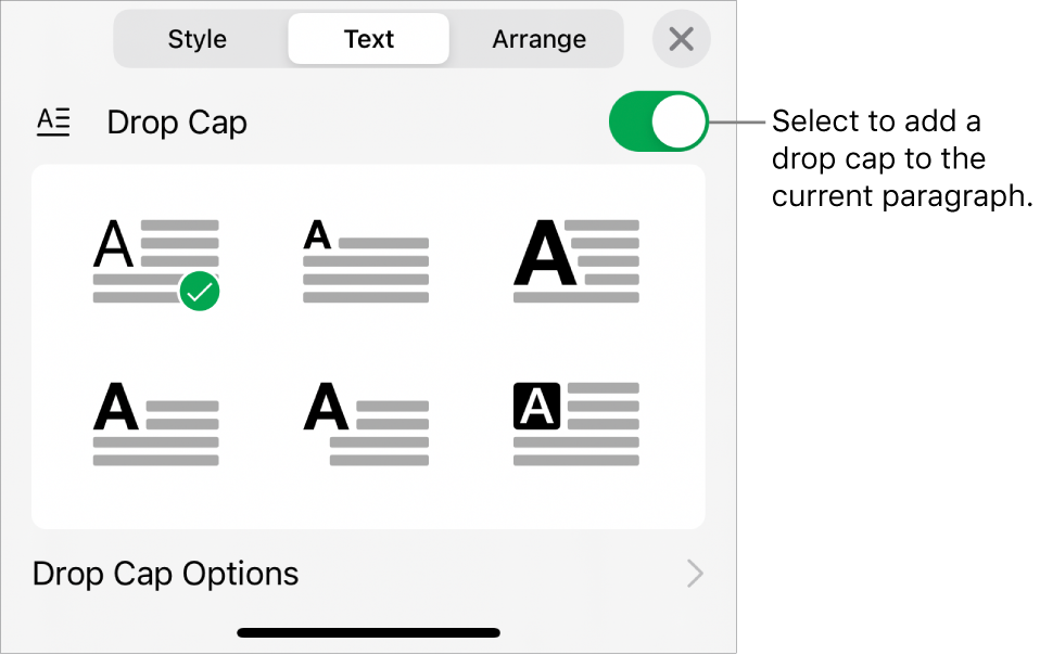 The Drop Cap controls located at the bottom of the Text menu.