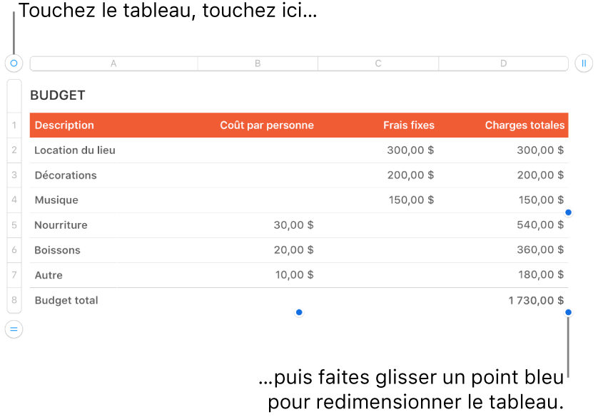 Un tableau sélectionné avec des points bleus pour le redimensionner.