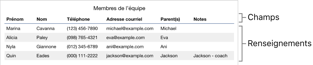 Tableau correctement configuré pour être utilisé avec des formulaires, avec une rangée d’en-tête contenant les étiquettes de champ et une liste de fiches affichant les coordonnées des membres d’une équipe de sport.