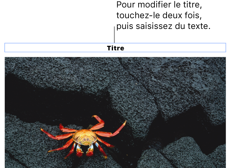 Le paramètre fictif de titre, « Titre », s’affiche sous une photo; un contour bleu autour du champ de titre indique qu’il est sélectionné.