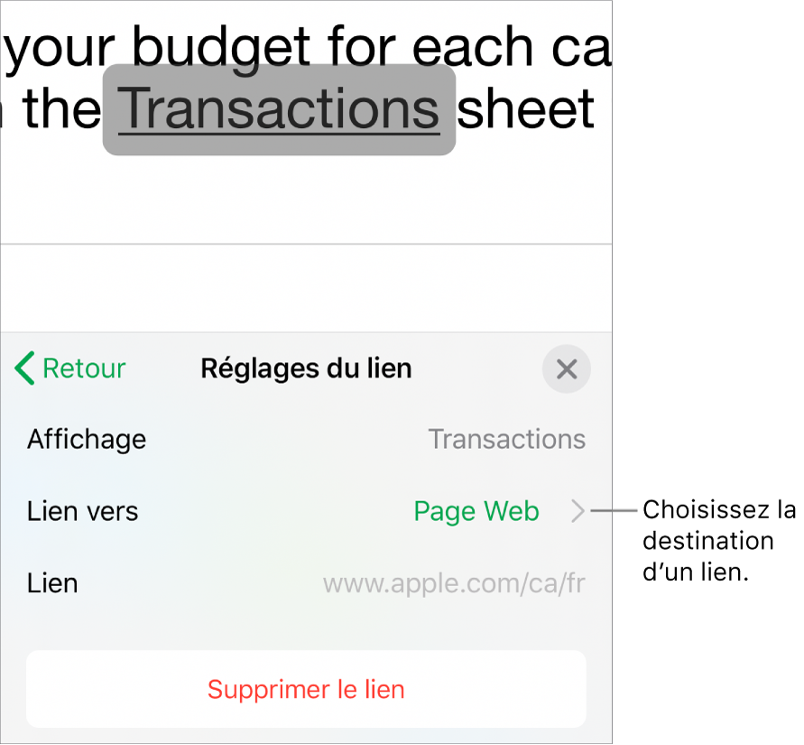 Les commandes Réglages du lien avec les champs Affichage, Lien vers (destination : Page Web) et Lien. Le bouton Supprimer le lien se trouve au bas.