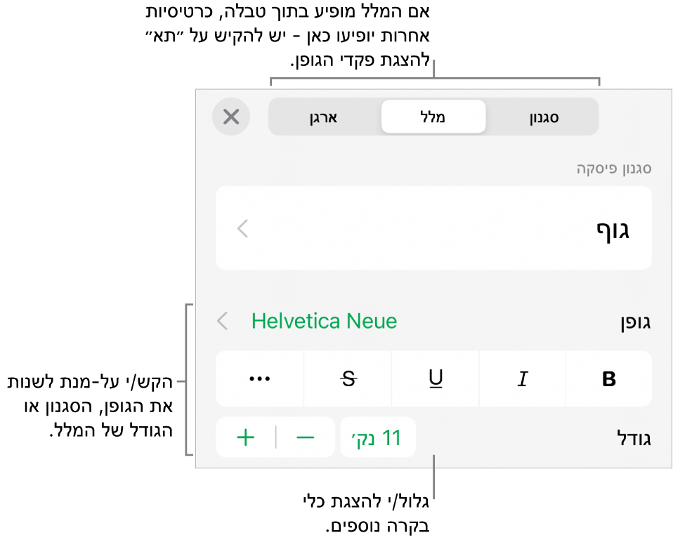 כלי בקרה של מלל בתפריט ״עיצוב״ להגדרת סגנונות, גופן, גודל וצבע עבור פיסקאות ותווים.