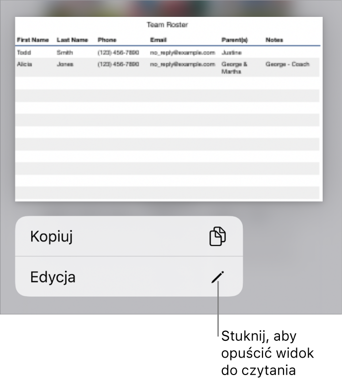 Zaznaczona tabela z widocznym poniżej menu zawierającym przyciski Kopiuj oraz Edycja.