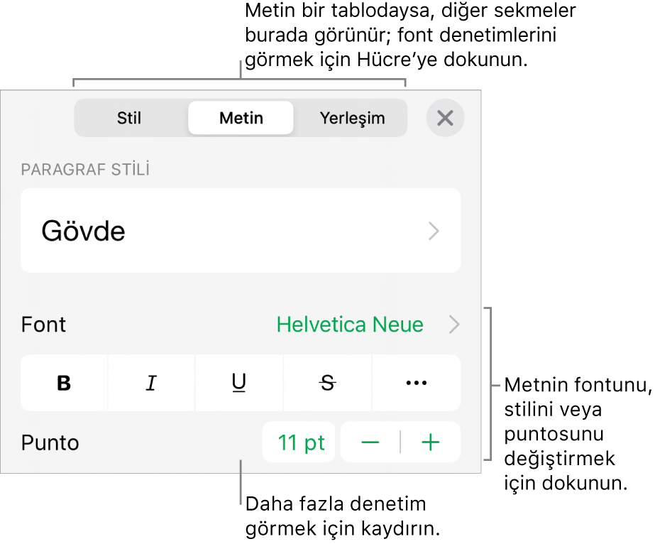 Paragraf ve karakter stillerini, fontunu, boyutunu ve rengini ayarlamak için Biçim menüsündeki metin kontrolleri.