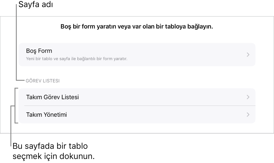 En üstte boş bir form yaratma seçeneği ile birlikte aynı hesap tablosunda bulunan tabloların listesi.