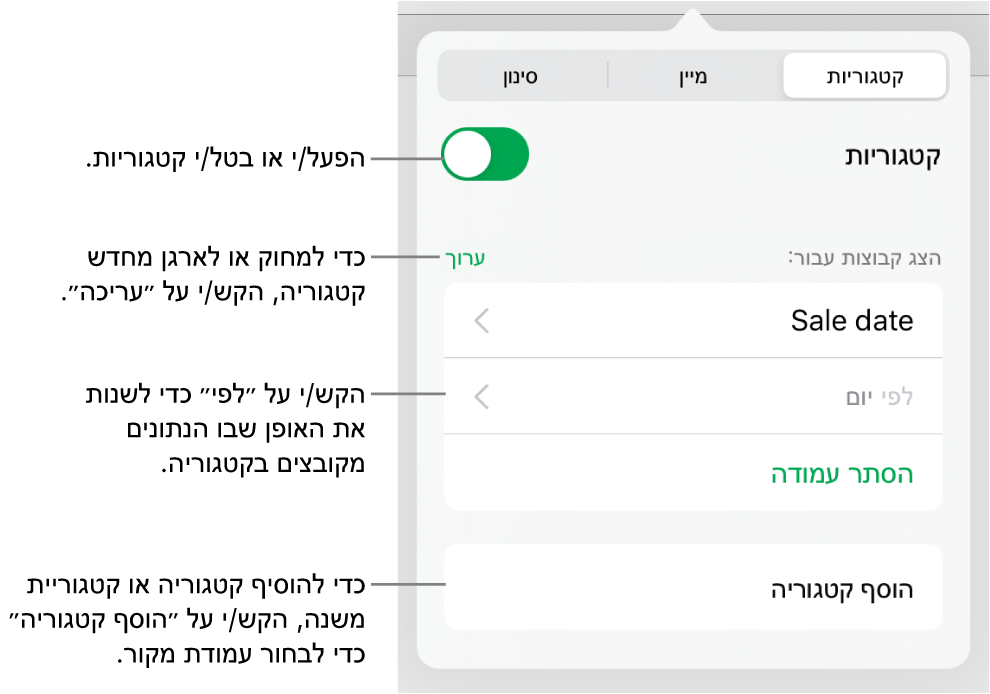 התפריט ״קטגוריות״ ב-iPad עם אפשרויות לביטול קטגוריות, מחיקת קטגוריות, סידור מחדש של נתונים בקבוצות, הסתרת עמודת מקור והוספת קטגוריות.