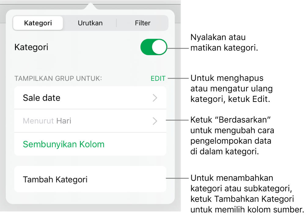 Menu Kategori untuk iPad dengan pilihan untuk mematikan kategori, menghapus kategori, mengelompokkan ulang data, menyembunyikan kolom sumber, dan menambah kategori.