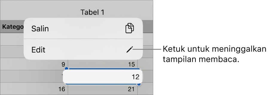 Sel tabel dipilih, dan di atasnya terdapat menu dengan tombol Salin dan Edit.