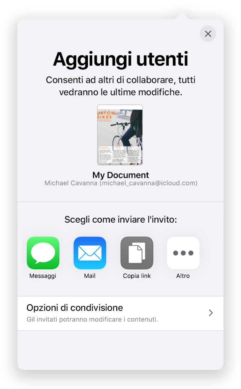 La schermata “Aggiungi persone” che mostra un’immagine del foglio di calcolo da condividere. Al di sotto ci sono i pulsanti delle modalità per inviare l’invito, che includono Mail, “Copia link” e Altro. Nella parte inferiore c’è il pulsante “Opzioni di condivisione”.