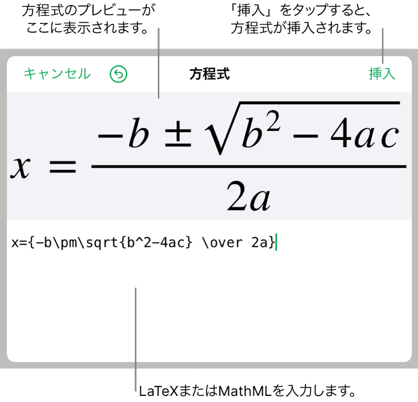 LaTeXを使用して書き込まれた二次方程式の解の公式が「方程式」フィールドに、公式のプレビューがその下に表示されます。