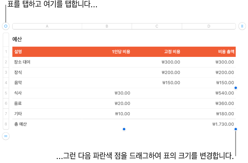 크기 조절용 파란색 점이 있고 선택되어 있는 표.