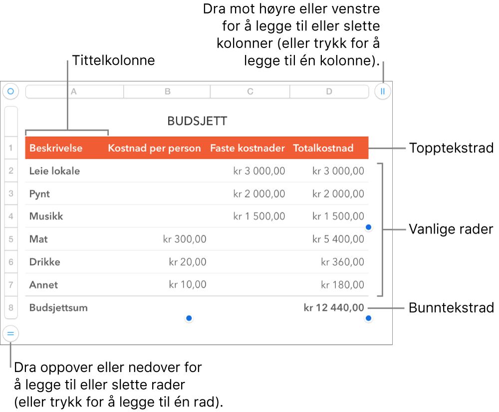 En tabell som viser tittelrader og -kolonner, vanlige rader og kolonner, bunnrader og -kolonner og håndtak for å legge til eller slette rader eller kolonner.