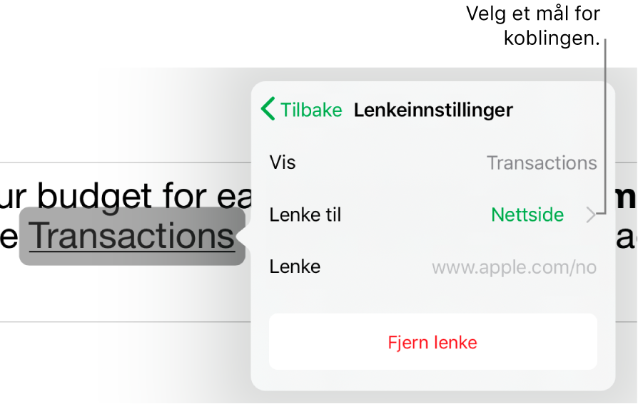 Lenkeinnstillinger-kontrollene med felter for Visning, Lenke til (stilt til Nettside) og Lenke. Fjern Lenke-knappen er nederst.