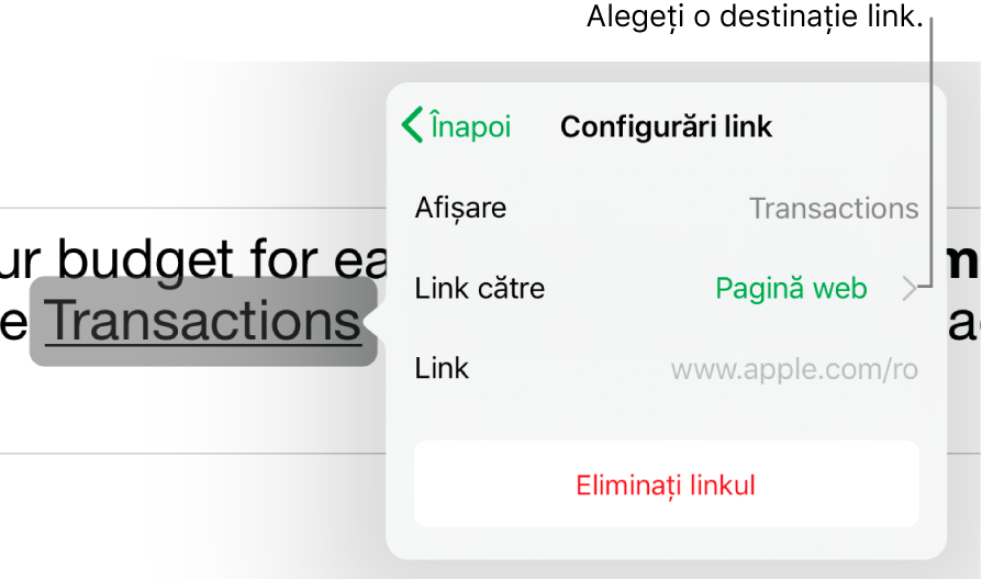 Comenzile din Configurări link cu câmpuri pentru Afișare, Link către (este selectată opțiunea Pagină web) și Link. În partea de jos se află butonul Eliminați linkul.