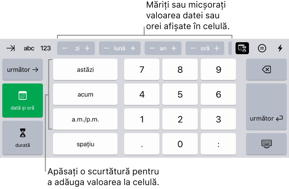 Tastatura dată și oră. Butoanele din partea de sus afișează unitățile de timp (lună, zi, an și oră) pe care le puteți incrementa pentru a schimba valoarea afișată în celulă. Pe stânga se află tastele pentru comutarea între tastatura pentru dată și oră și cea pentru durată, iar în centrul tastaturii sunt taste numerice.